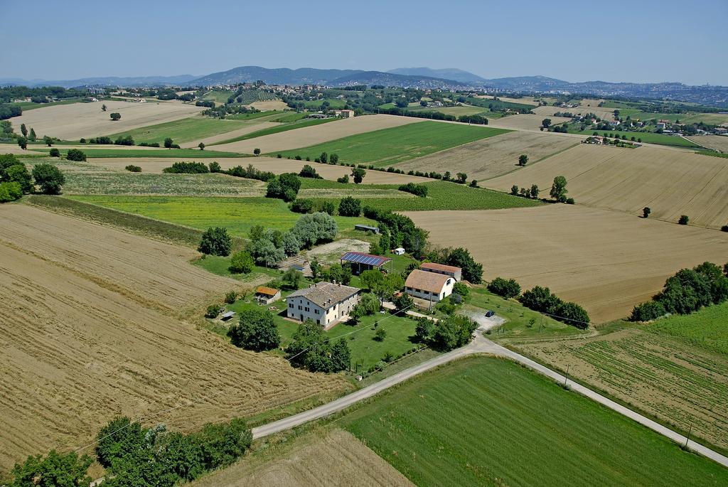 فيلا Fattoria Il Bruco Pila  المظهر الخارجي الصورة